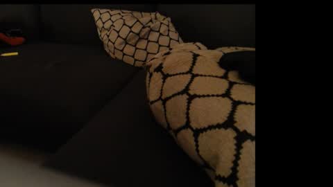 Snapshot of sissygirlalexandra chatting on January 2025 01:31:01 AM sissygirlalexandra online show from January 2025 01:31:01 AM