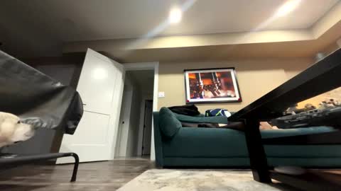 sissyinheelsbbc online show from November 2025 02:21:01 AM