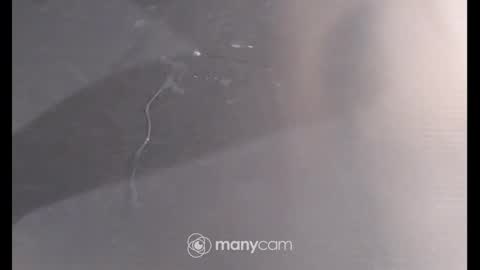 Sissyslut6111 online show from December 2024 06:54:02 PM