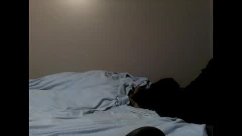 Snapshot of skeeter4fun73 chatting on January 2025 06:12:02 PM skeeter4fun73 online show from January 2025 06:12:02 PM