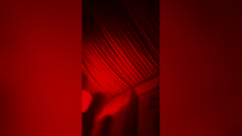 skindiana_bones online show from February 2026 10:40:02 AM