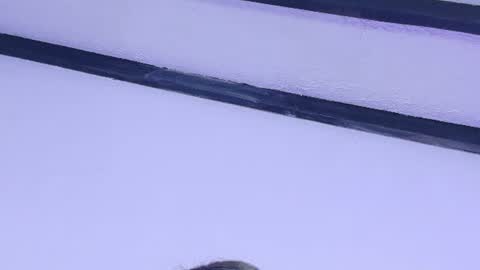 skinny_hottie18 online show from June 2026 11:48:01 AM