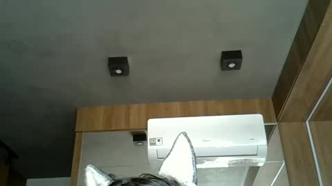 skinnykittencam online show from September 2025 05:14:01 PM