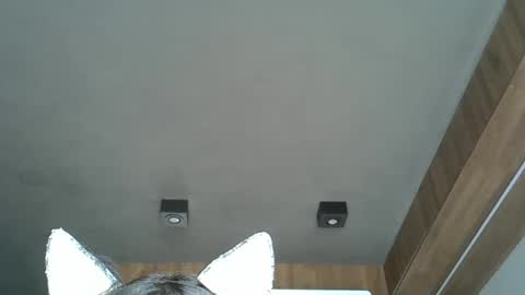 skinnykittencam online show from October 2025 04:59:01 PM