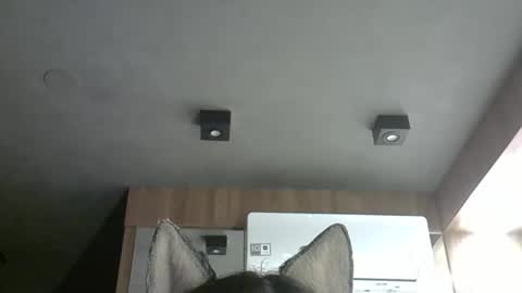 skinnykittencam online show from October 2025 02:08:02 AM