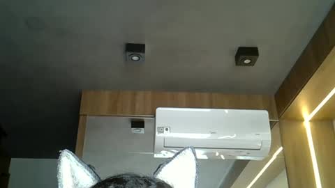 skinnykittencam online show from November 2025 03:56:01 PM