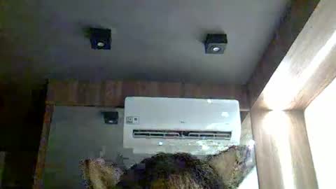 skinnykittencam online show from January 2026 03:28:02 PM
