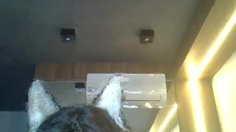 skinnykittencam online show from February 2026 08:23:01 PM