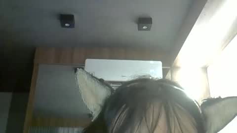 skinnykittencam online show from February 2026 05:58:01 PM