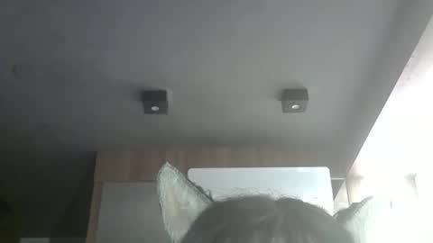 skinnykittencam online show from May 2026 03:28:01 PM