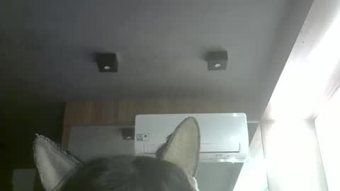 skinnykittencam online show from May 2026 06:51:02 AM