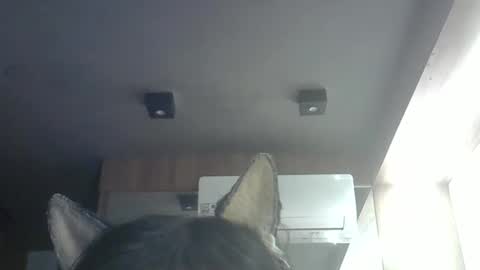 skinnykittencam online show from May 2026 09:05:01 AM