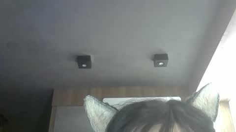 skinnykittencam online show from May 2026 02:18:01 AM