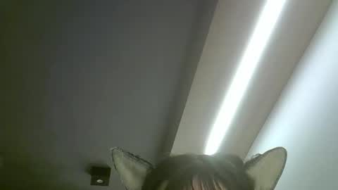 skinnykittencam online show from May 2026 02:18:02 AM