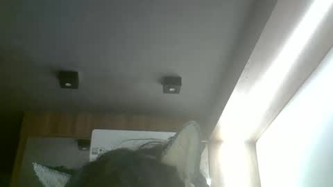 skinnykittencam online show from May 2026 02:29:02 AM