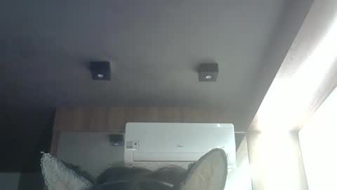 skinnykittencam online show from May 2026 03:55:02 AM
