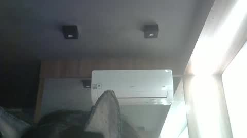 skinnykittencam online show from May 2026 04:01:02 PM