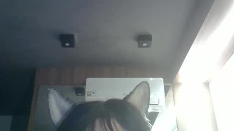 skinnykittencam online show from May 2026 09:38:02 AM