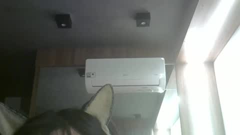 skinnykittencam online show from May 2026 11:01:02 PM