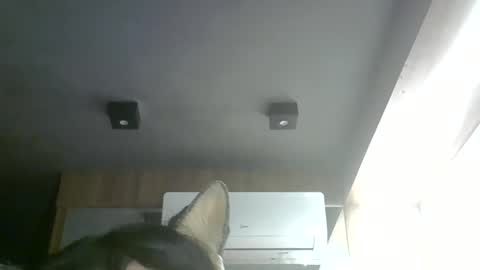 skinnykittencam online show from May 2026 06:38:02 PM