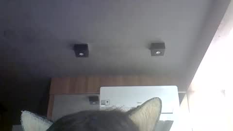skinnykittencam online show from May 2026 07:00:01 PM