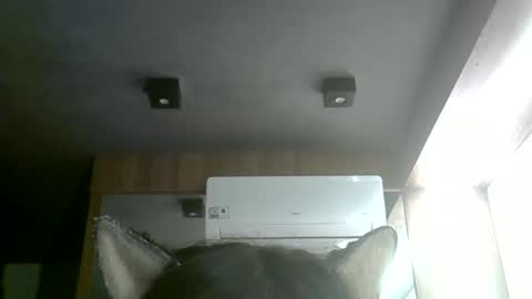 skinnykittencam online show from June 2026 04:20:02 PM