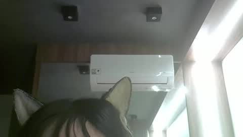 skinnykittencam online show from June 2026 05:21:01 AM