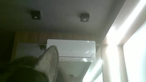 skinnykittencam online show from June 2026 05:51:01 PM