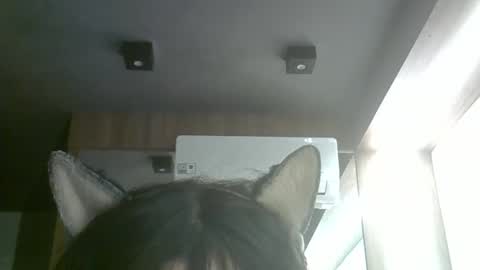 skinnykittencam online show from June 2026 03:51:02 PM