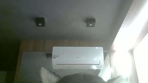 skinnykittencam online show from June 2026 04:50:01 AM