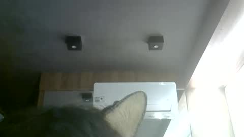 skinnykittencam online show from June 2026 09:30:01 PM