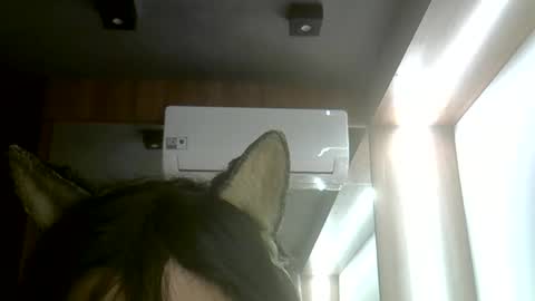 skinnykittencam online show from June 2026 05:38:02 PM