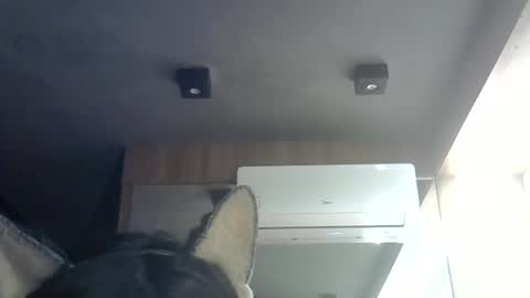 skinnykittencam online show from June 2026 04:51:01 PM