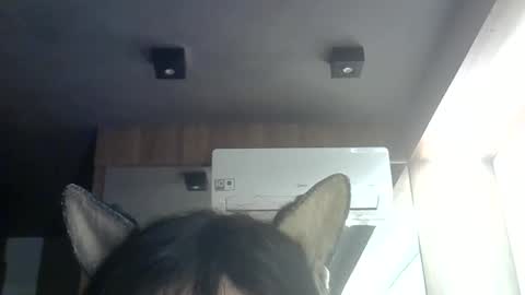 skinnykittencam online show from June 2026 09:32:01 AM