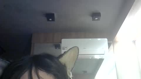 skinnykittencam online show from June 2026 12:54:01 AM