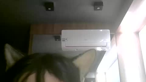 skinnykittencam online show from June 2026 02:53:01 AM
