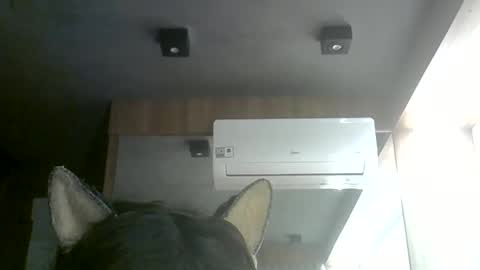skinnykittencam online show from June 2026 08:07:02 PM