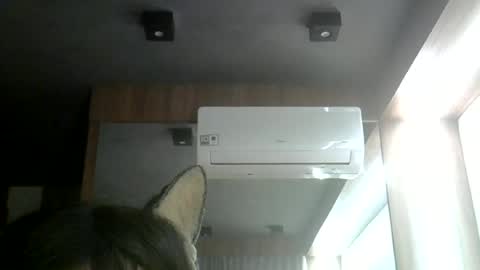 skinnykittencam online show from June 2026 11:35:02 PM