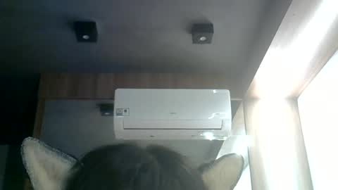 skinnykittencam online show from June 2026 12:02:02 AM