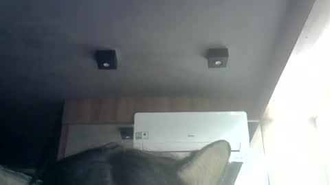 skinnykittencam online show from June 2026 01:36:01 AM
