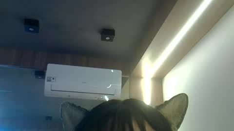 skinnykittencam online show from June 2026 01:42:02 PM