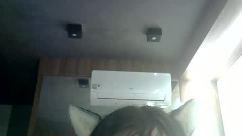 skinnykittencam online show from June 2026 03:39:01 AM