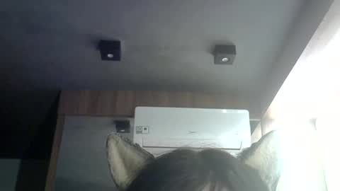 skinnykittencam online show from June 2026 05:12:01 AM