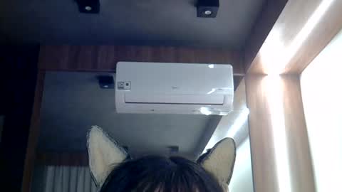 skinnykittencam online show from June 2026 01:04:01 PM