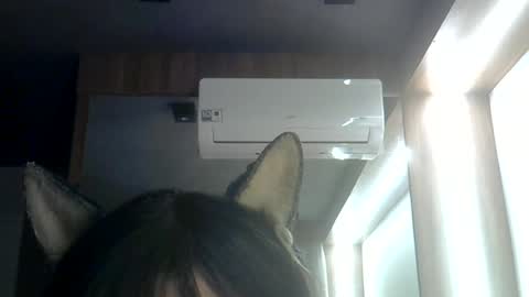 skinnykittencam online show from June 2026 03:13:01 AM