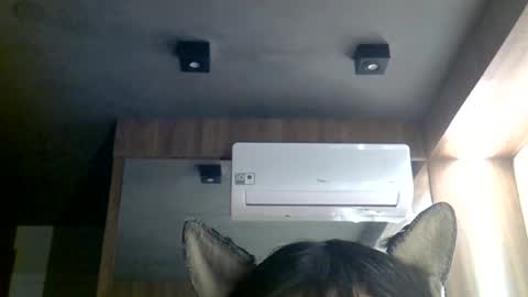 skinnykittencam online show from June 2026 10:48:01 AM