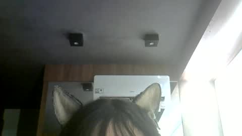 skinnykittencam online show from June 2026 06:31:02 PM
