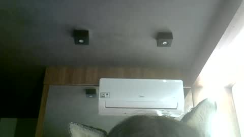 skinnykittencam online show from July 2026 05:24:01 AM