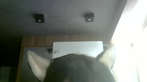 skinnykittencam online show from July 2026 05:35:01 AM