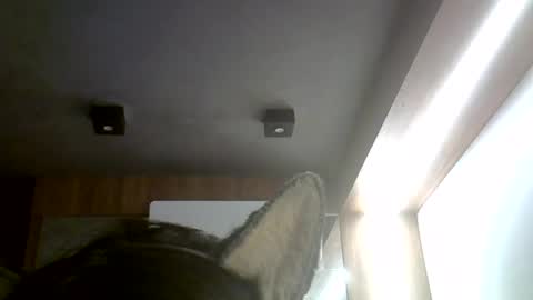 skinnykittencam online show from July 2026 06:25:01 PM